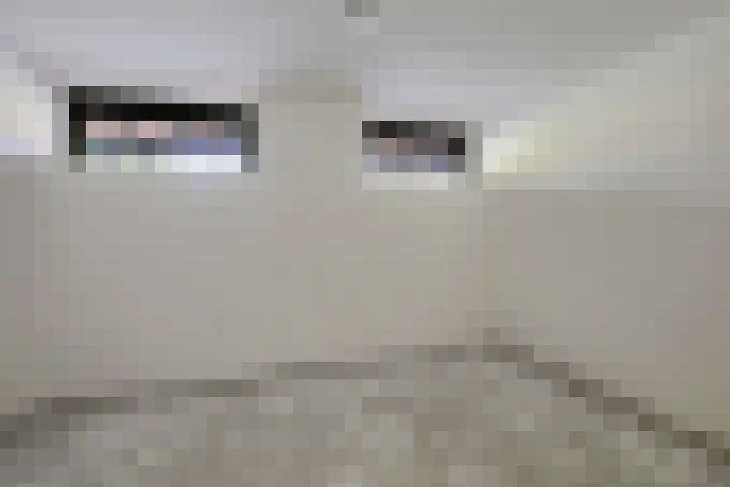 Koesteeg 2 c Ommen thumbnail 37