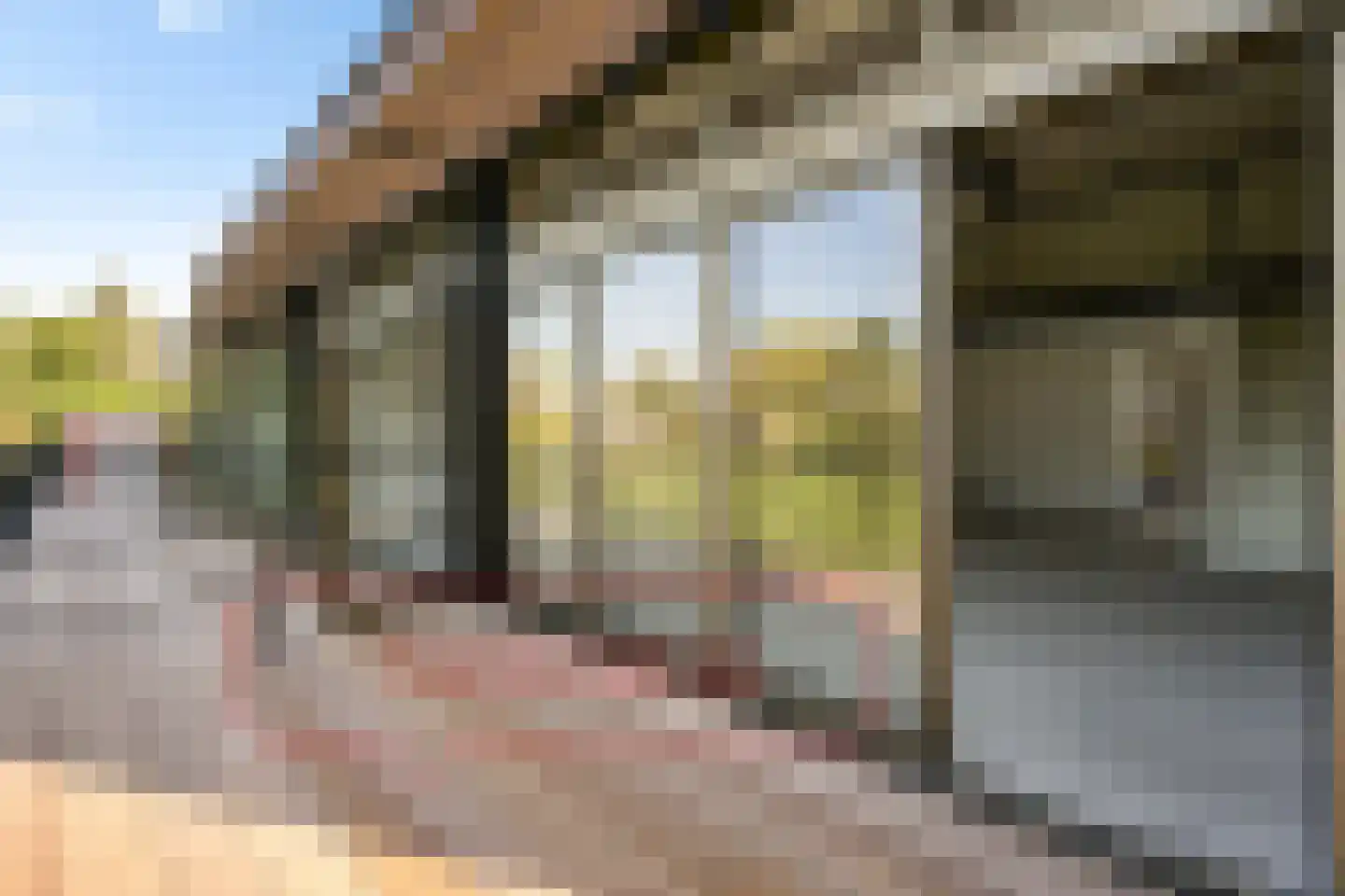 Koesteeg 2 c Ommen thumbnail 59