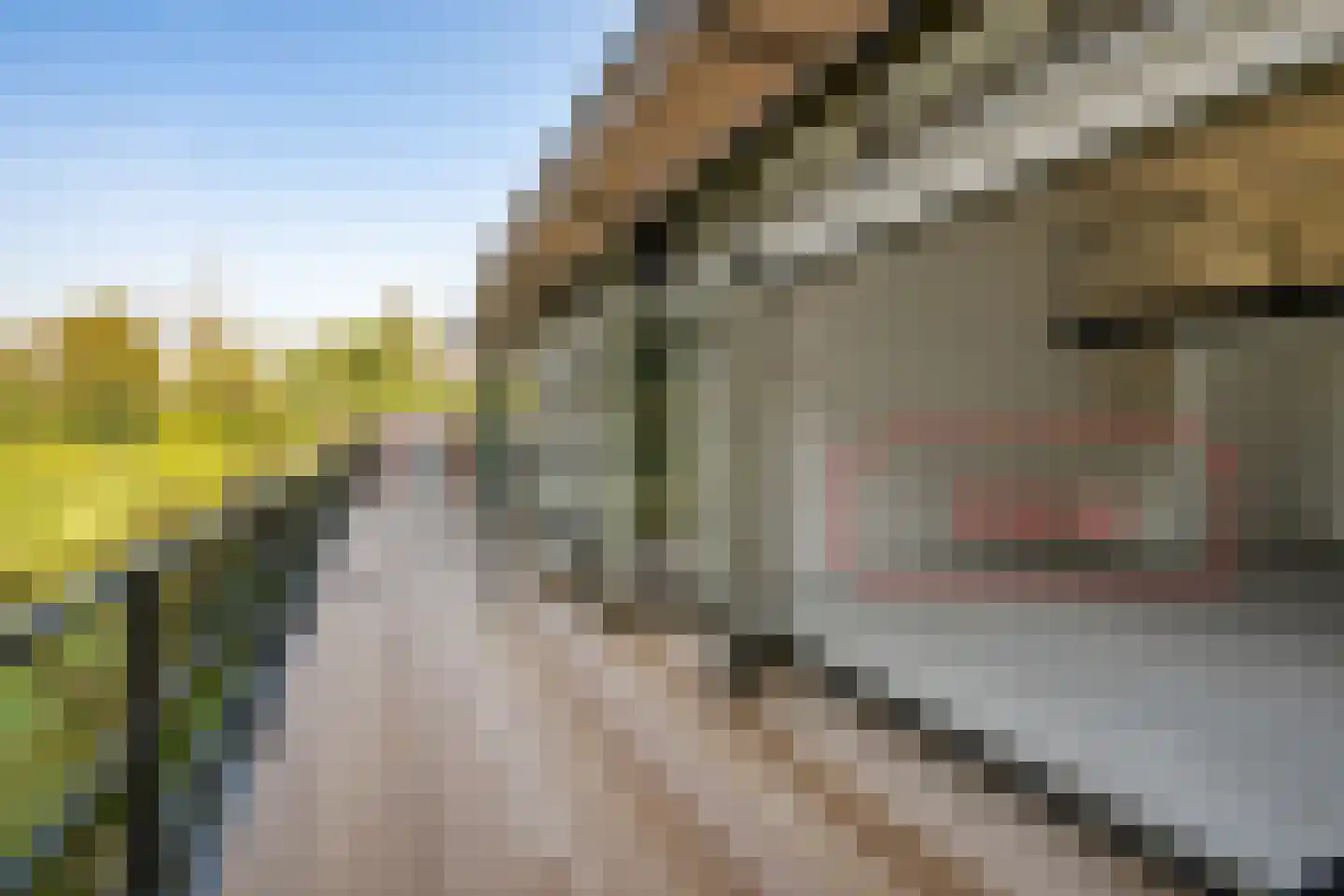 Koesteeg 2 c Ommen thumbnail 61