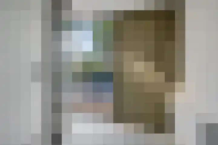 Koesteeg 2 Ommen thumbnail 14