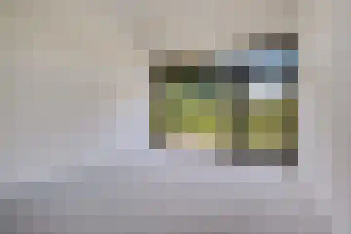 Koesteeg 2 Ommen thumbnail 32