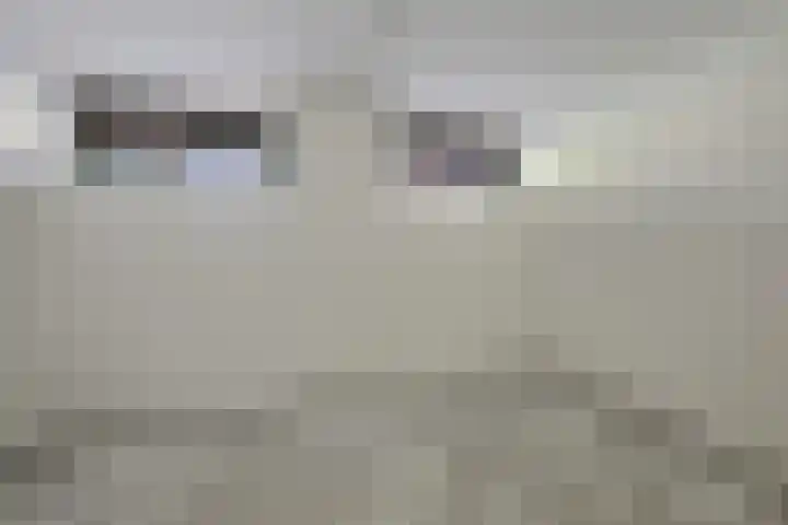 Koesteeg 2 Ommen thumbnail 41