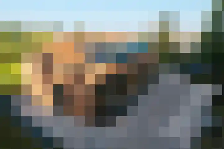 Koesteeg 2 Ommen thumbnail 43