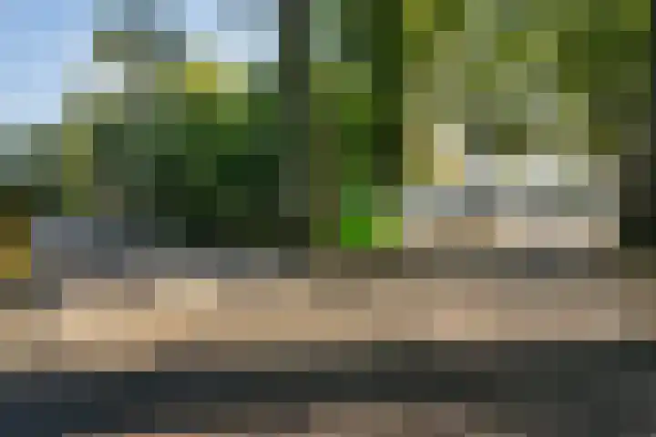 Koesteeg 2 Ommen thumbnail 5