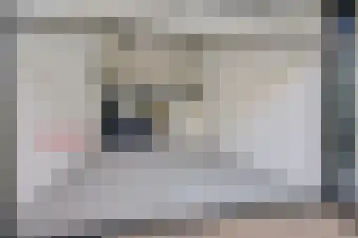 Koesteeg 2 Ommen thumbnail 58