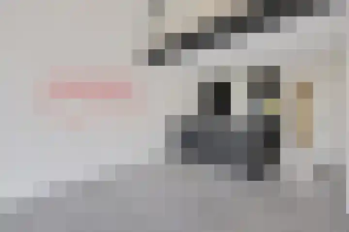Koesteeg 2 Ommen thumbnail 60