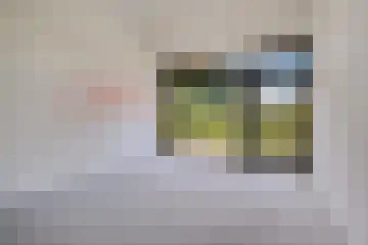 Koesteeg 2 Ommen thumbnail 66