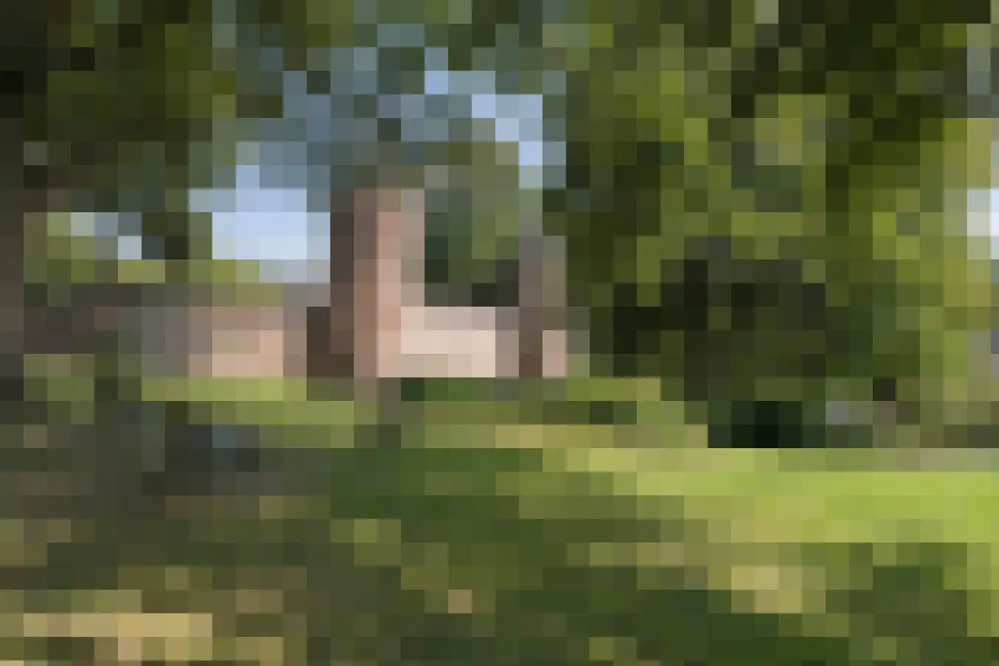 Koesteeg 54 Amersfoort thumbnail 28