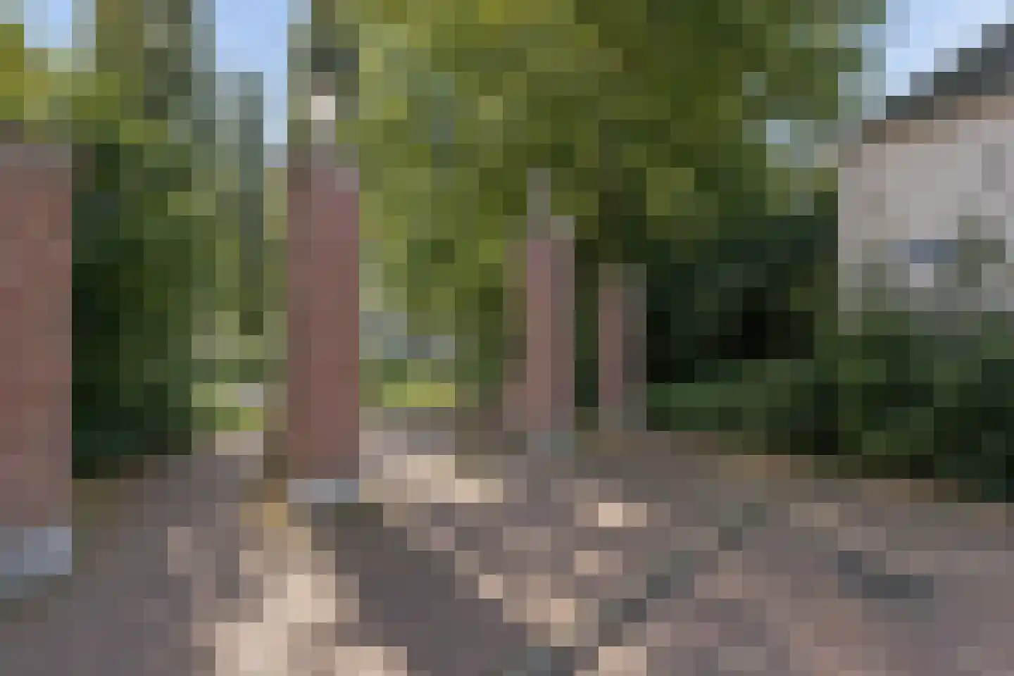 Koesteeg 54 Amersfoort thumbnail 29