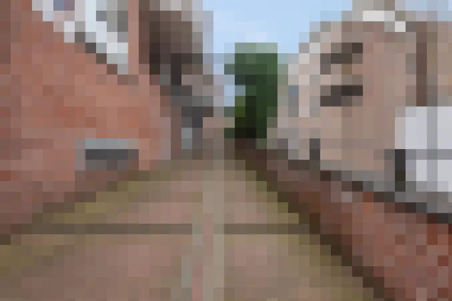 Koesteeg 54 Amersfoort thumbnail 7