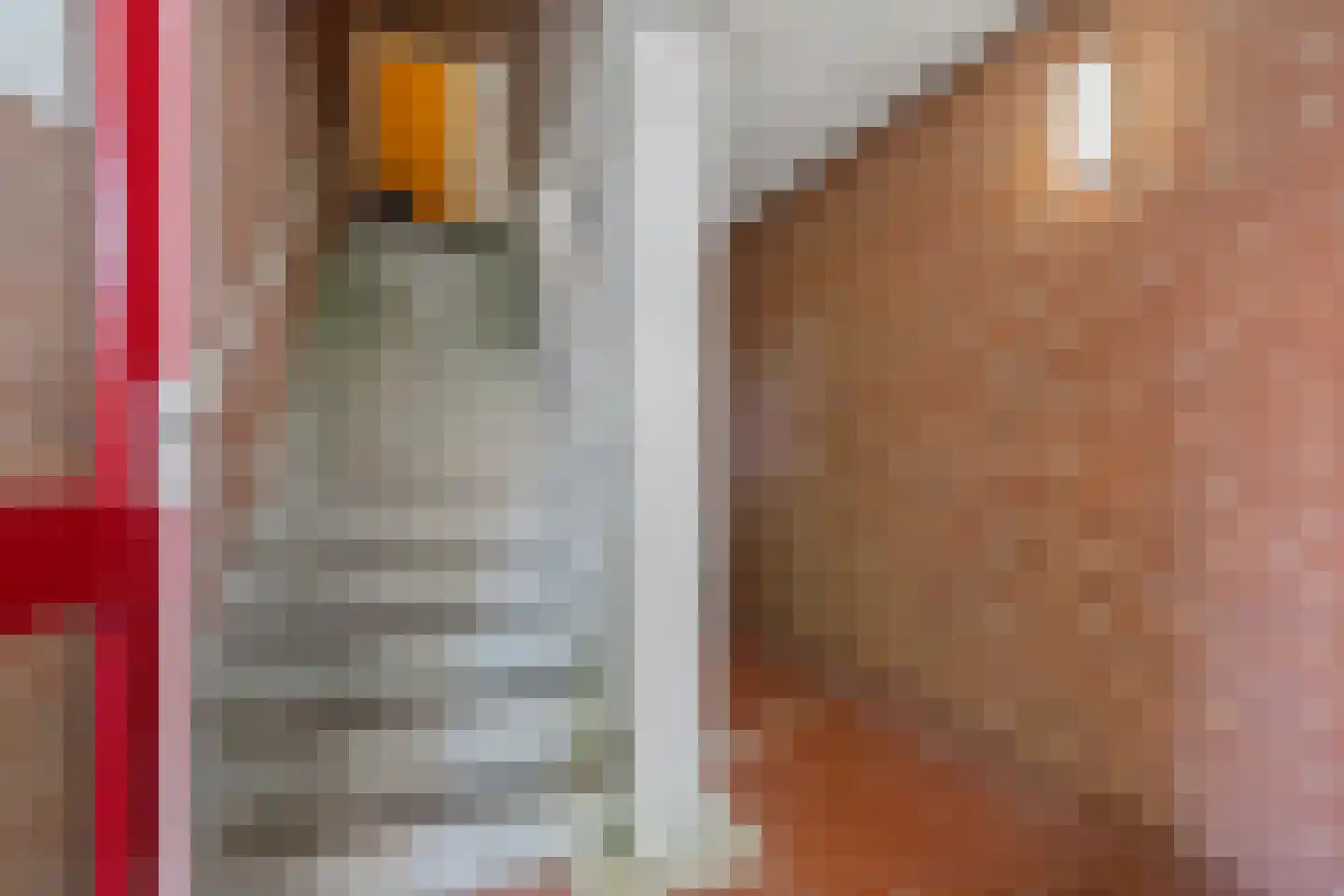 Koesteeg 64 Amersfoort thumbnail 37