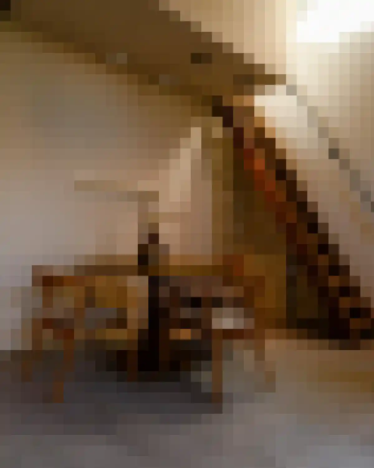 Koesteeg Dalfsen foto 3
