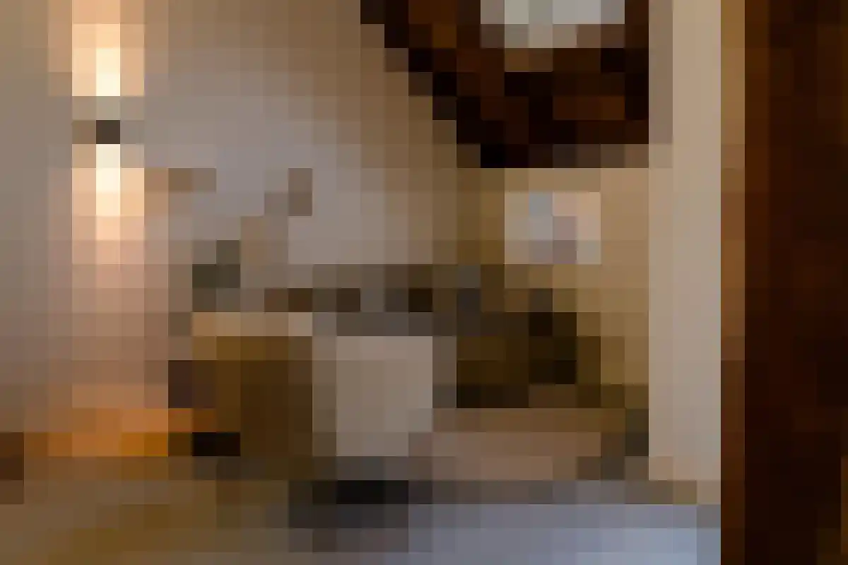 Koesteeg Dalfsen thumbnail 4