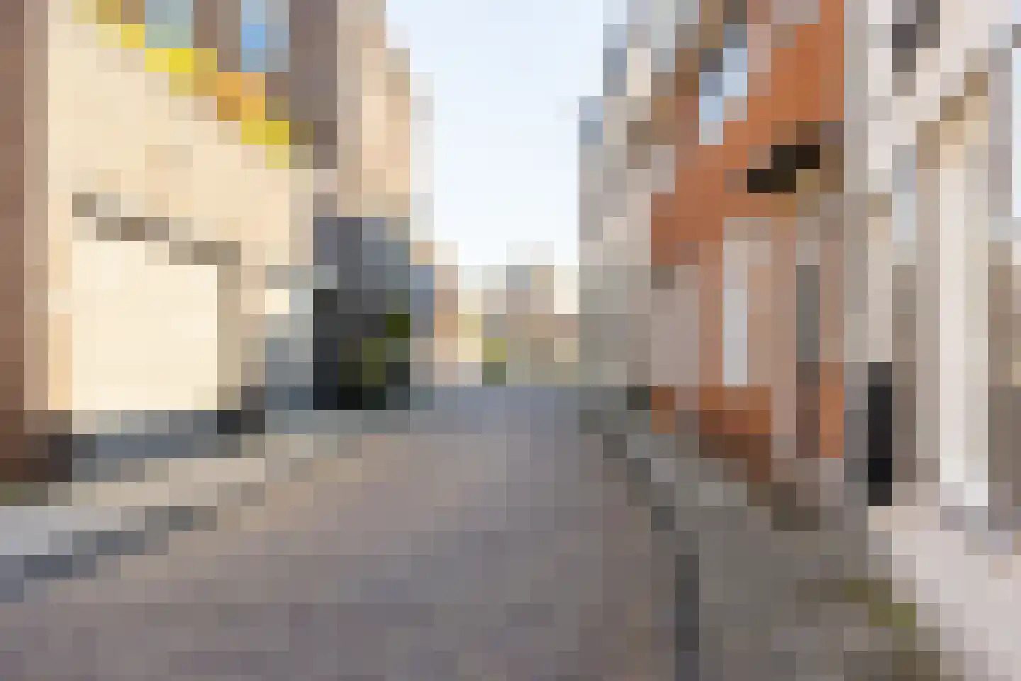Koestraat 1 a Schoonhoven thumbnail 38