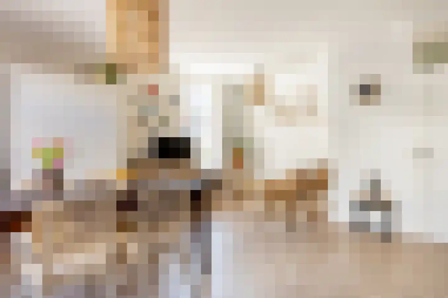 Koestraat 1 a Schoonhoven thumbnail 6