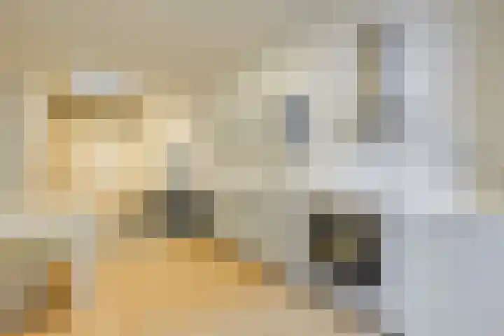 Koestraat 10 E Leiden thumbnail 9