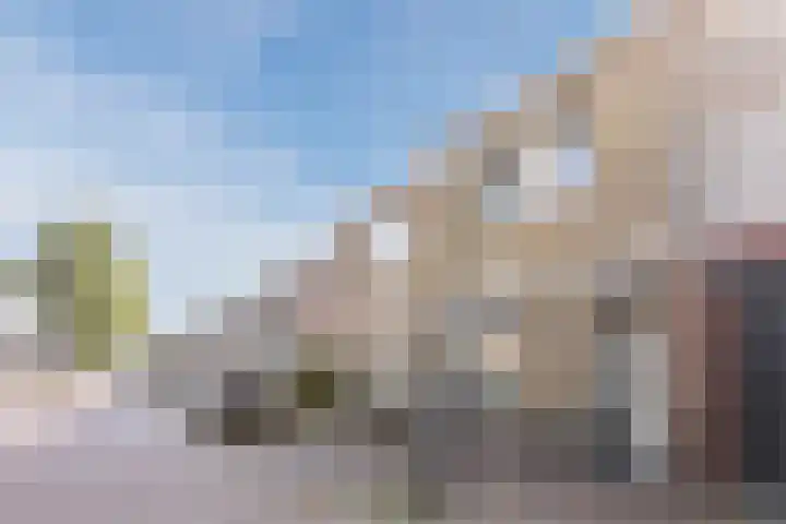 Koestraat 106 Geertruidenberg thumbnail 38