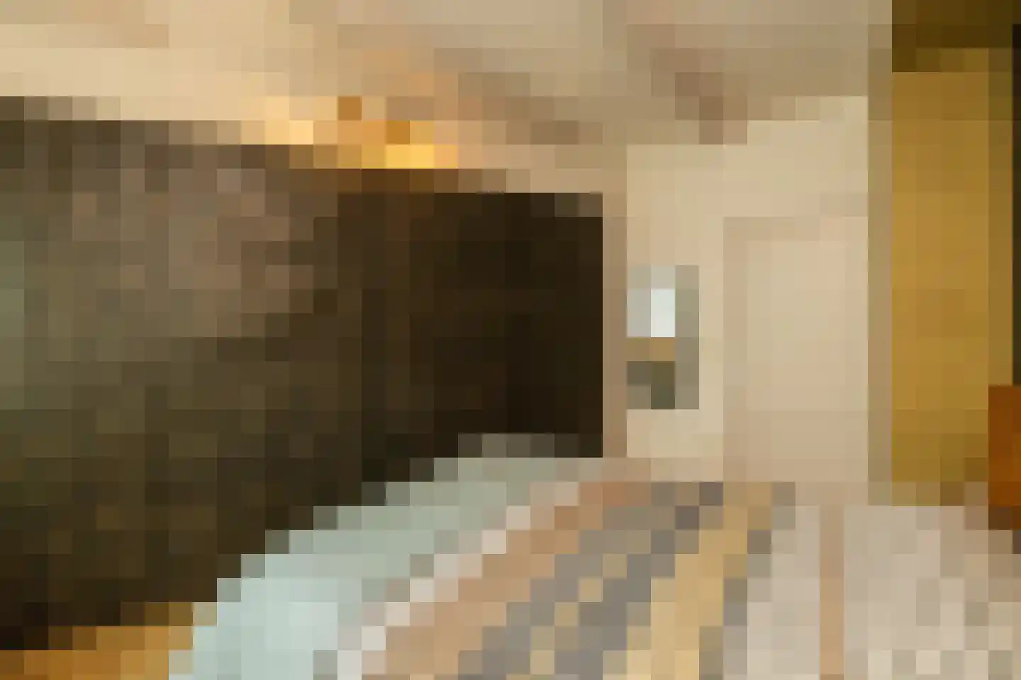 Koestraat 109 c Schoonhoven thumbnail 14