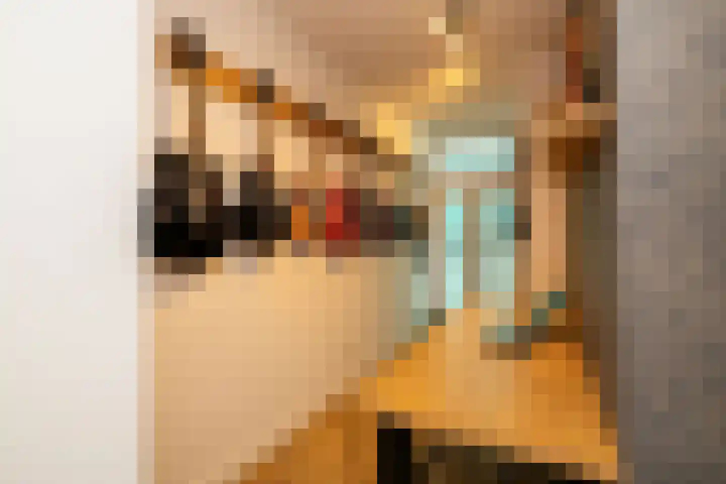 Koestraat 109 c Schoonhoven thumbnail 21