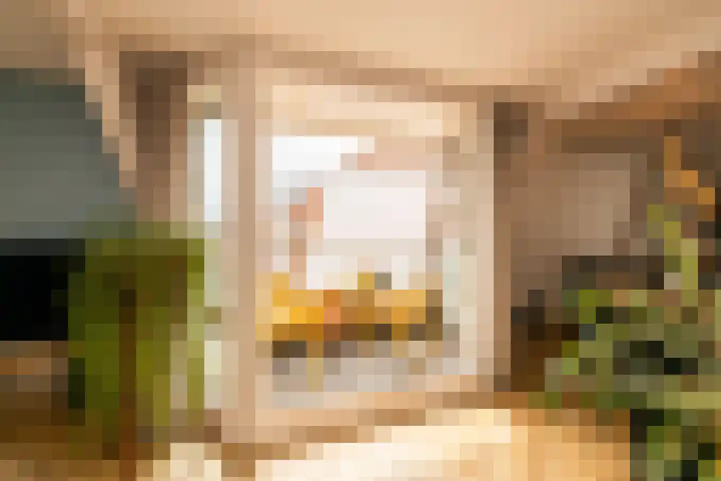 Koestraat 109 c Schoonhoven thumbnail 30