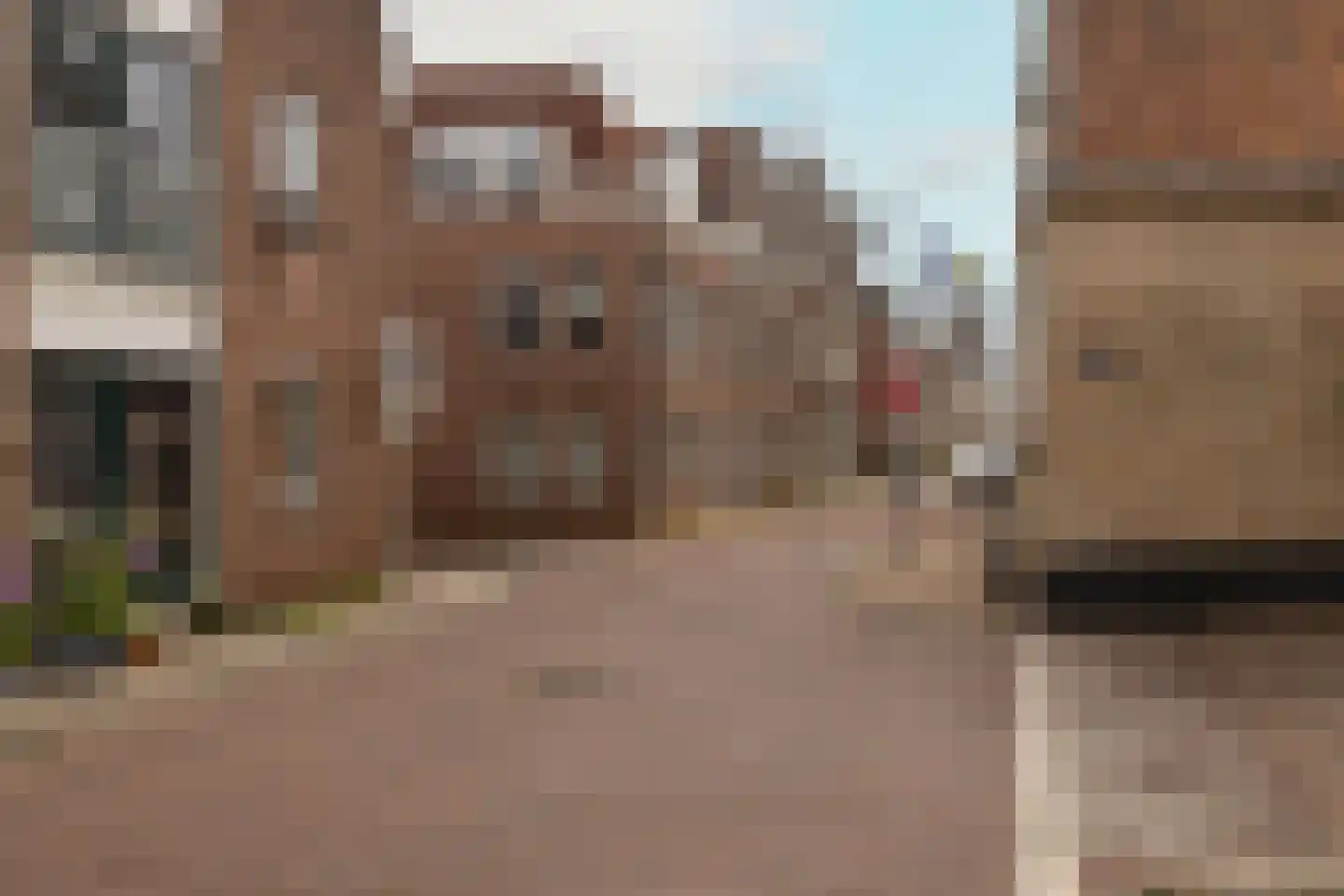 Koestraat 109 c Schoonhoven thumbnail 44
