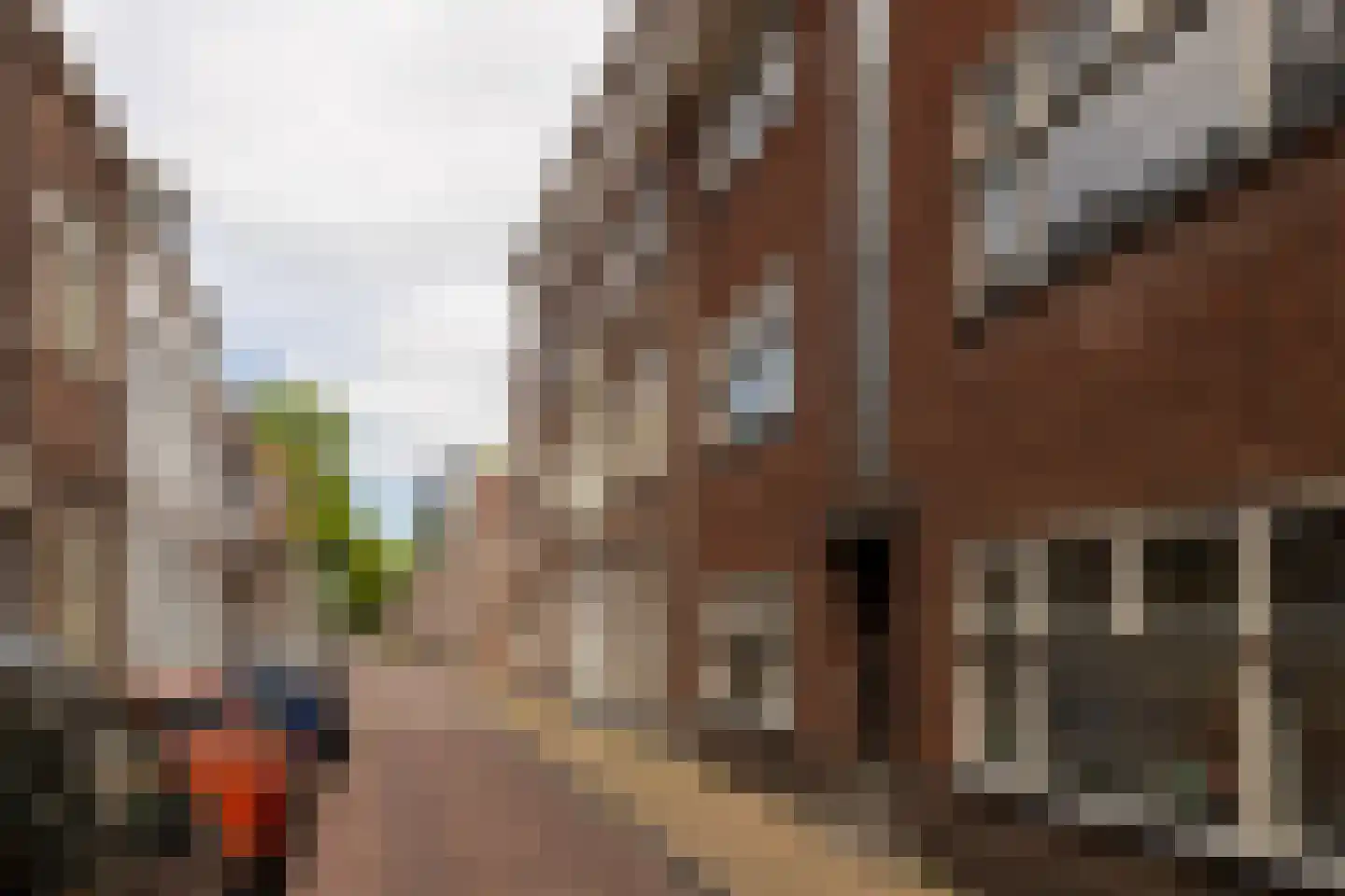 Koestraat 109 c Schoonhoven thumbnail 45