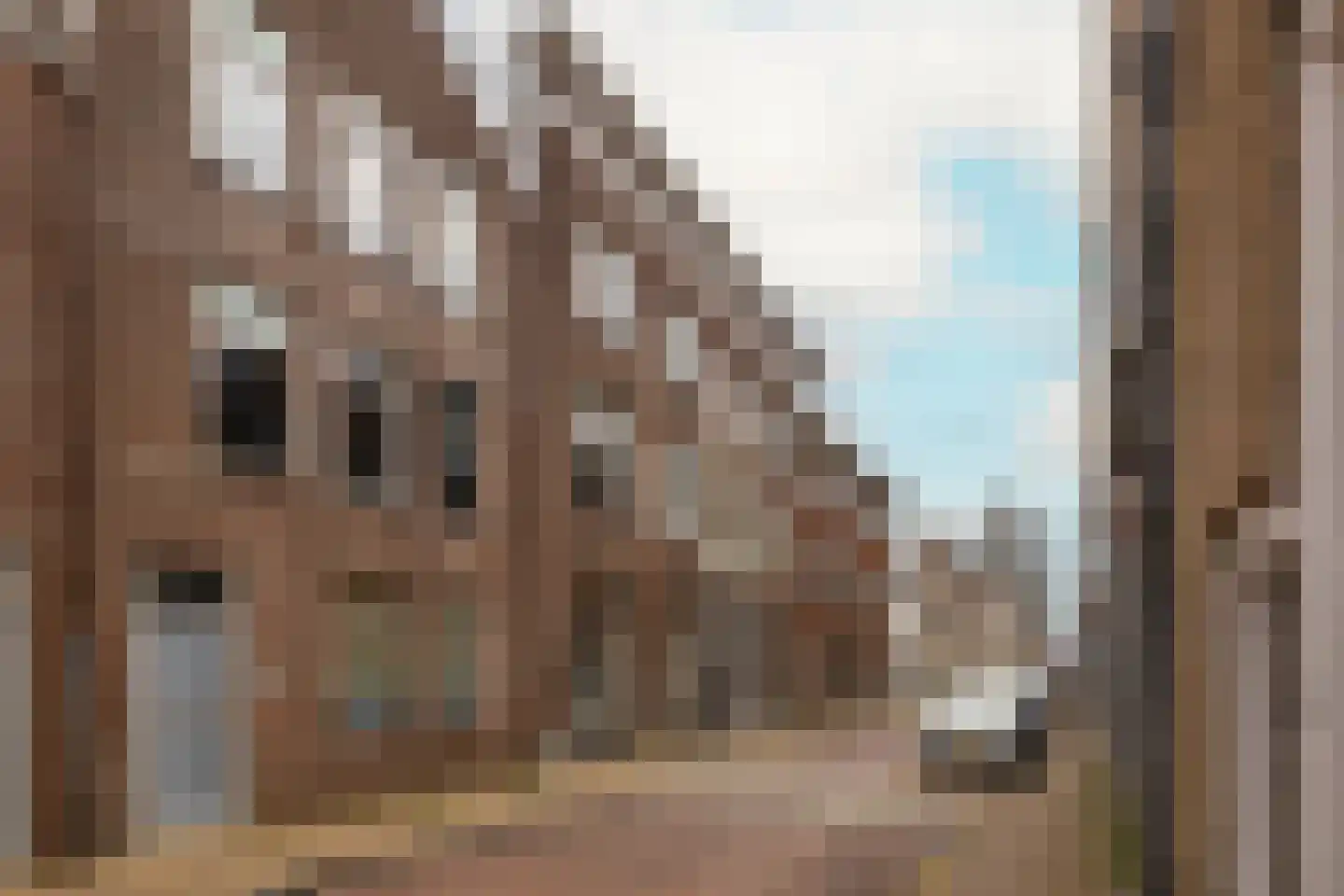 Koestraat 109 c Schoonhoven thumbnail 46