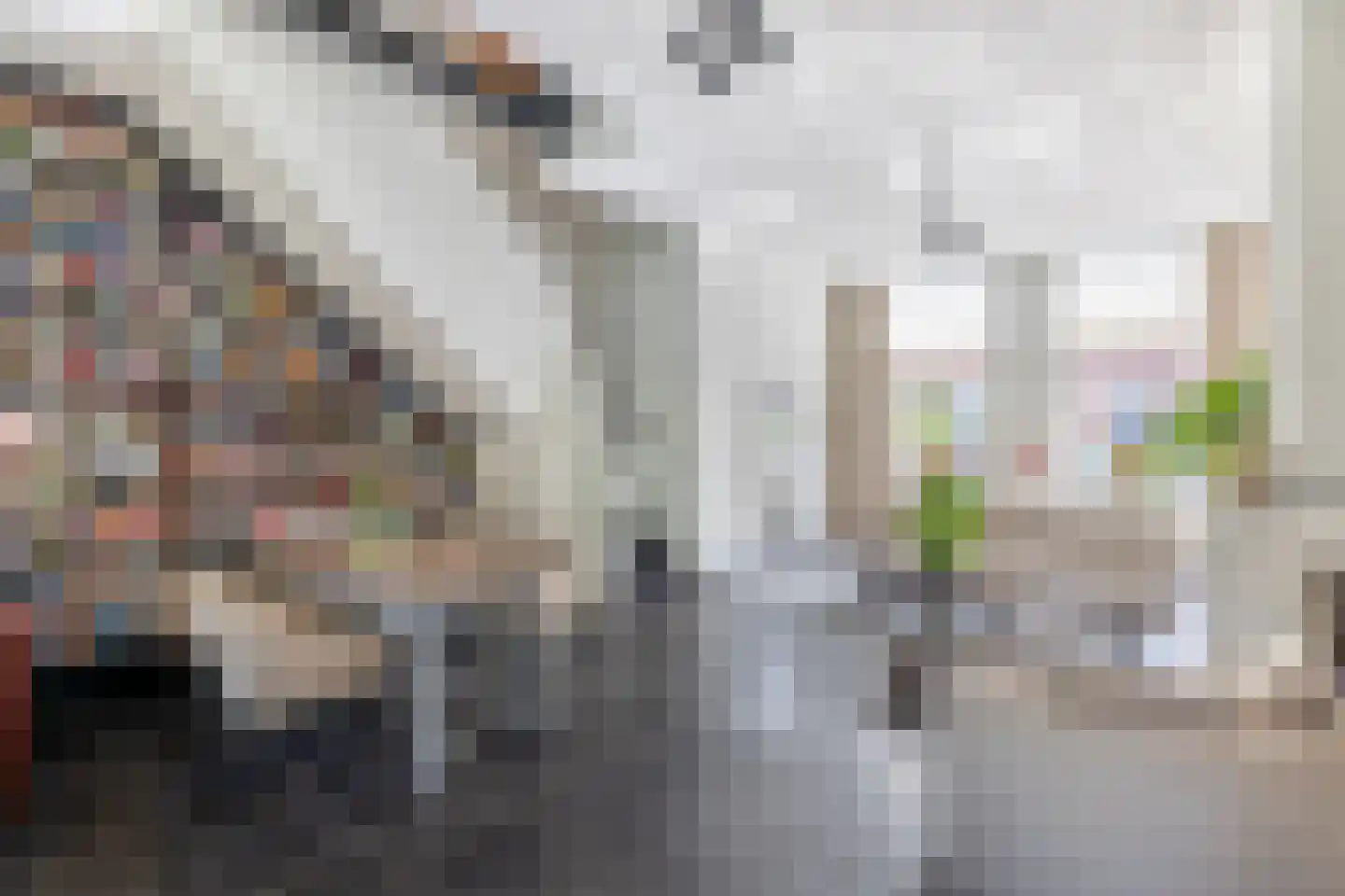 Koestraat 110 Schoonhoven thumbnail 11