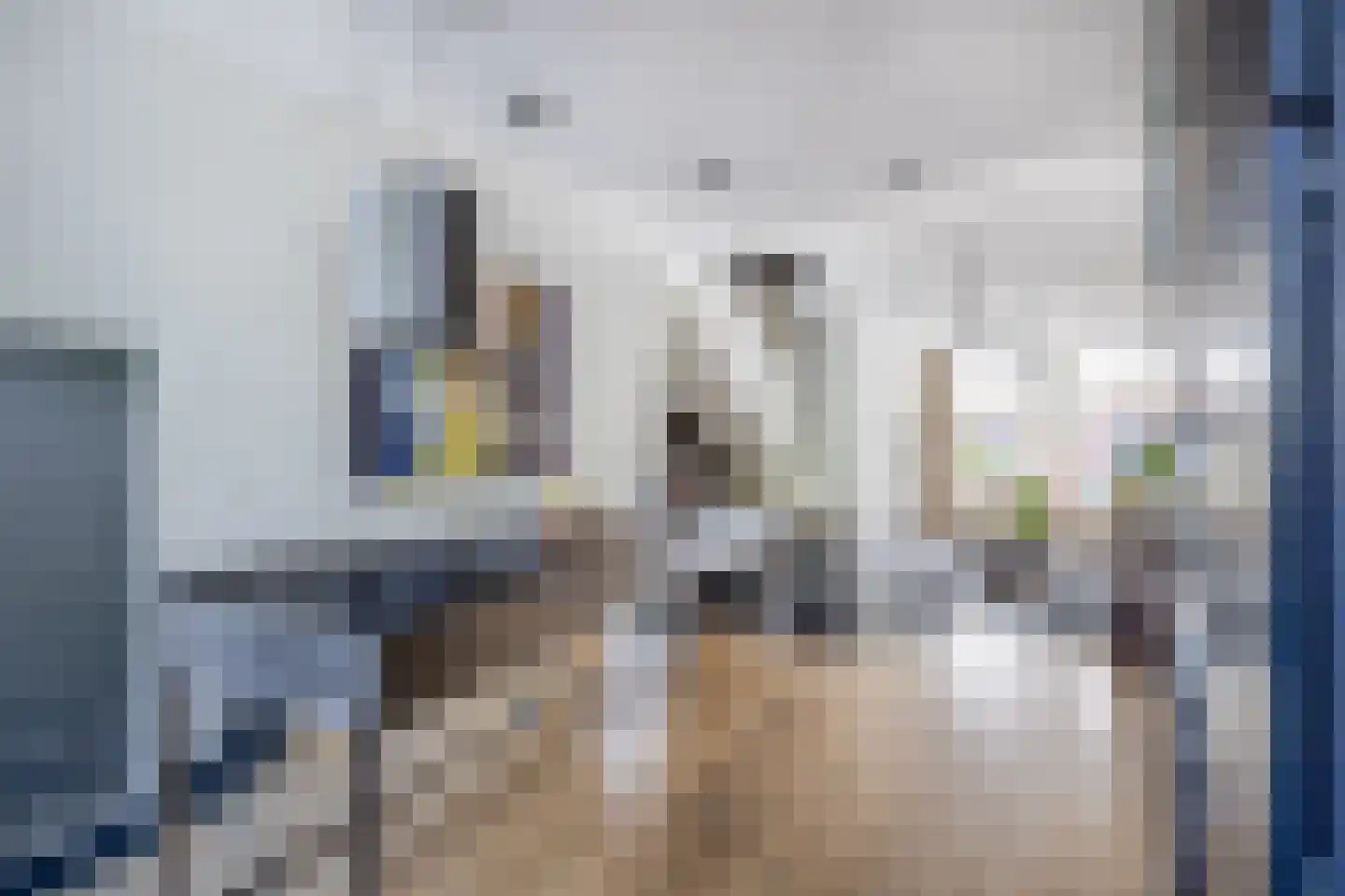 Koestraat 110 Schoonhoven thumbnail 17