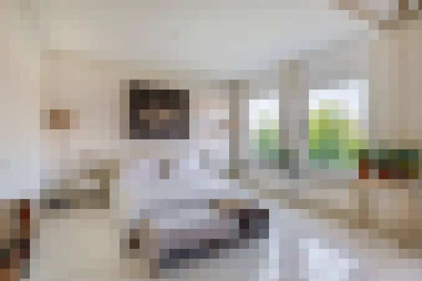 Koestraat 110 Schoonhoven thumbnail 31