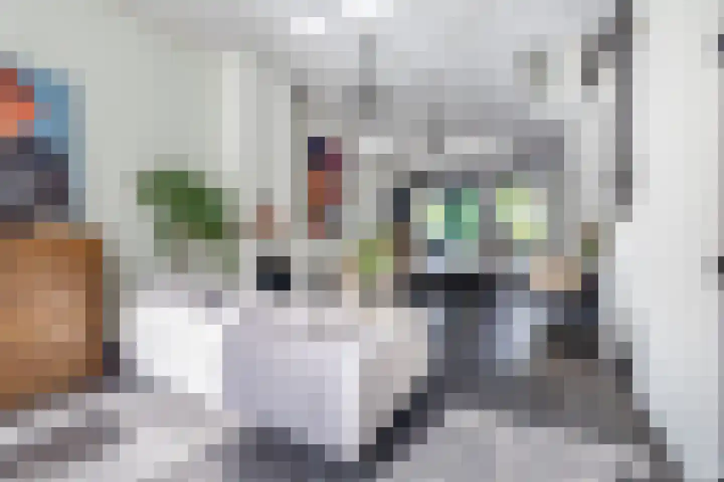 Koestraat 110 Schoonhoven thumbnail 7