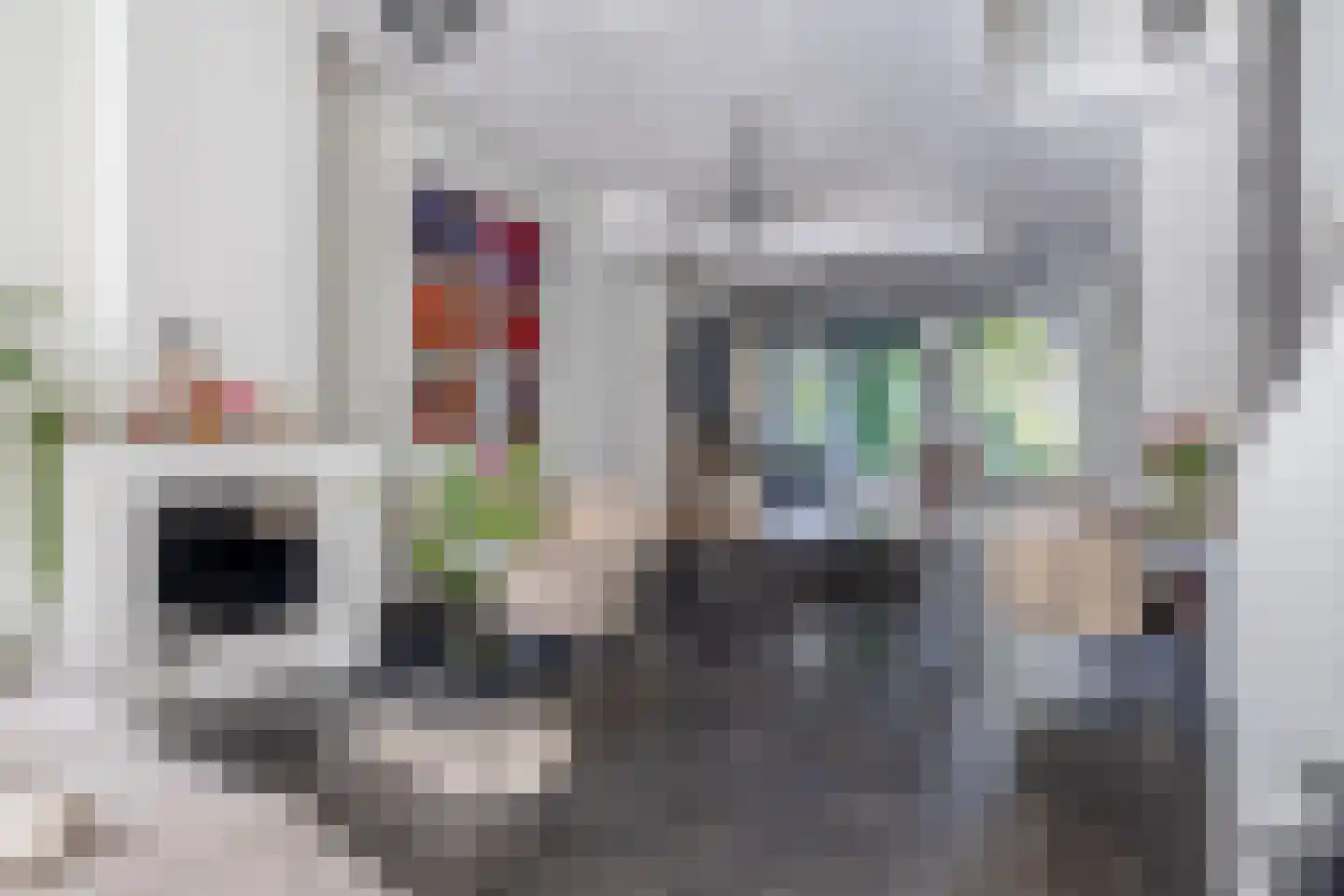 Koestraat 110 Schoonhoven thumbnail 8