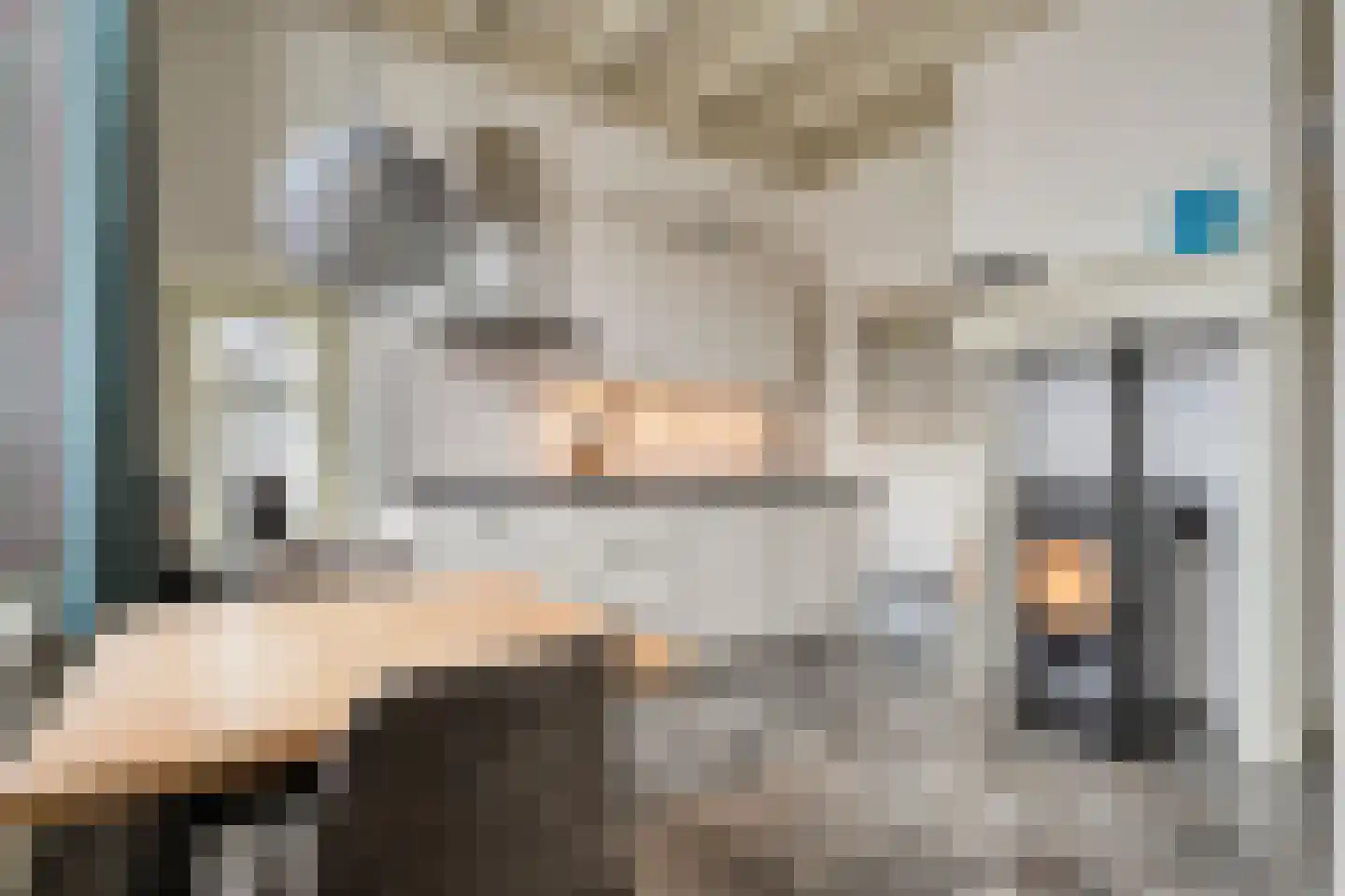 Koestraat 12 Hellendoorn thumbnail 20