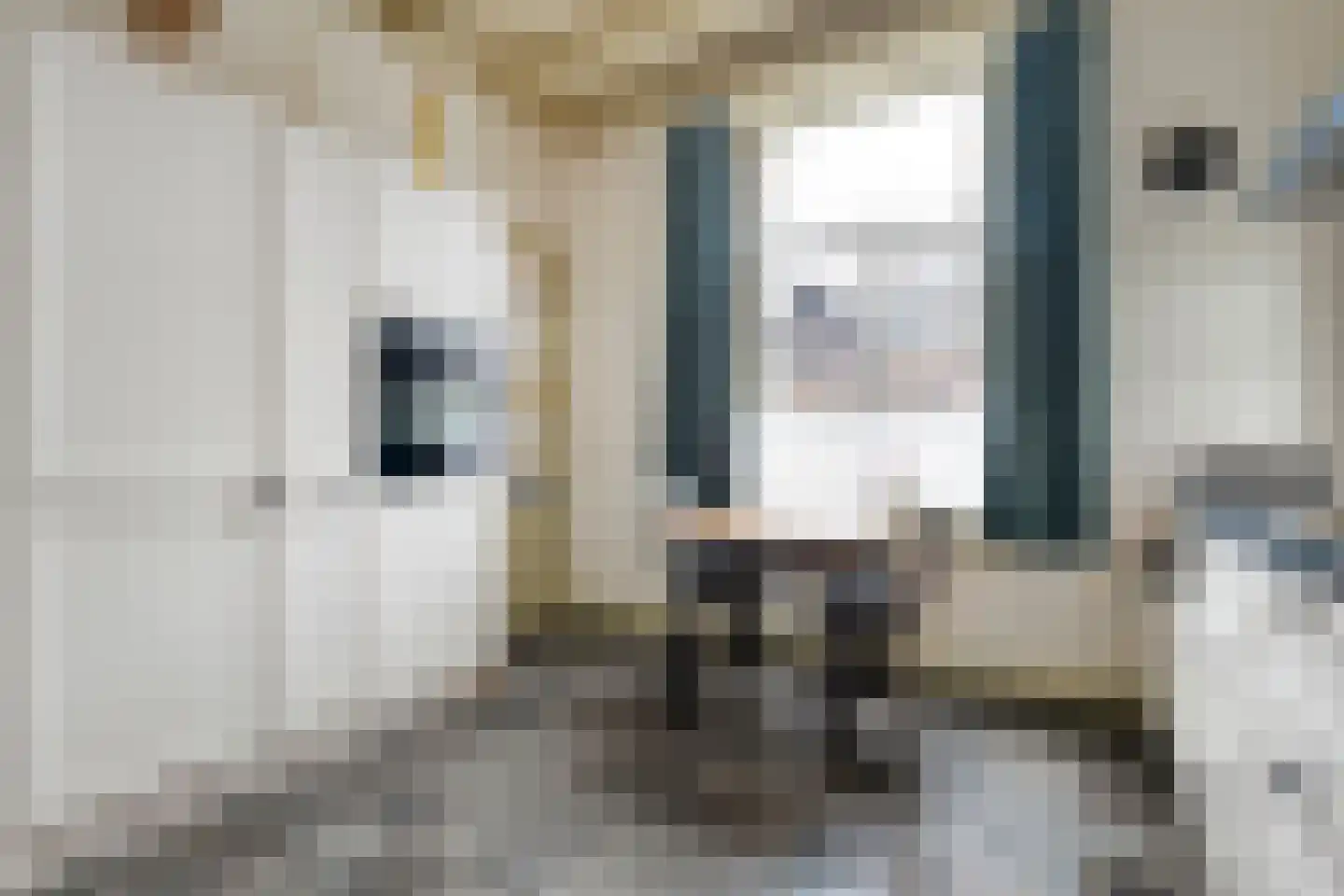 Koestraat 12 Hellendoorn thumbnail 22