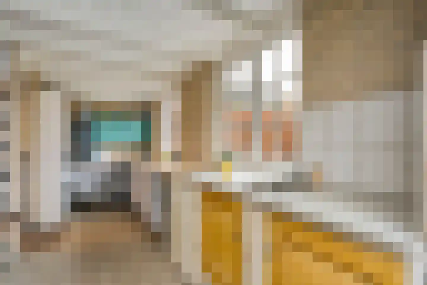 Koestraat 12 Hellendoorn thumbnail 45