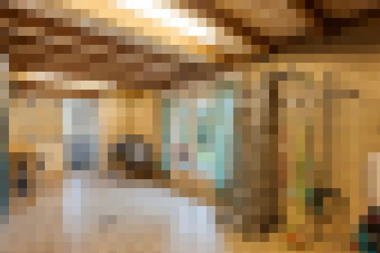 Koestraat 12 Hellendoorn thumbnail 47