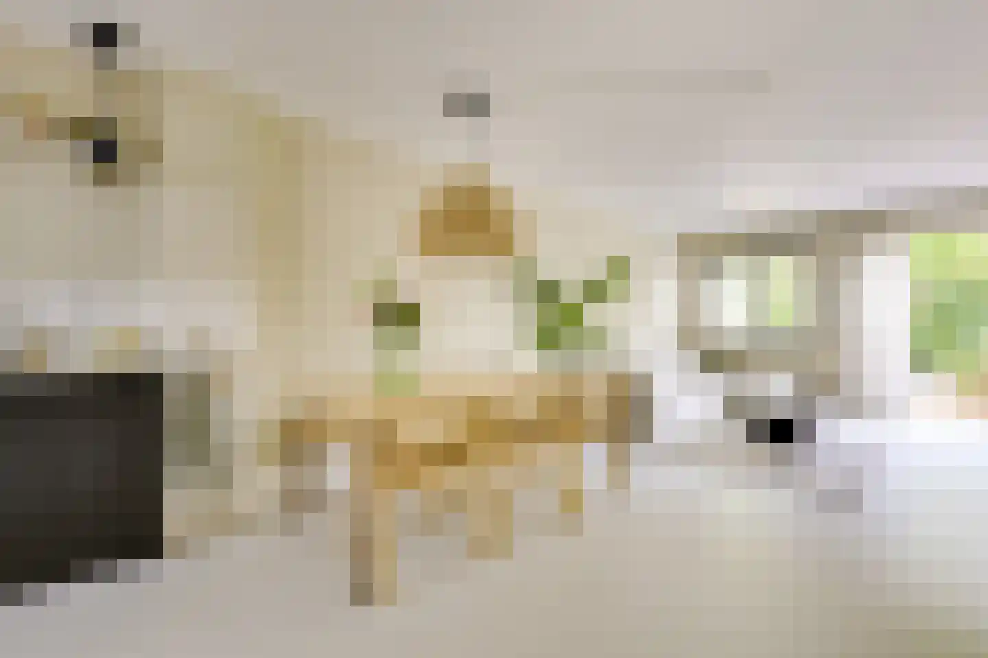 Koestraat 12 Vianen thumbnail 11
