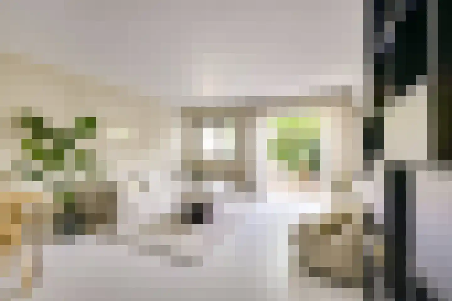 Koestraat 12 Vianen thumbnail 13