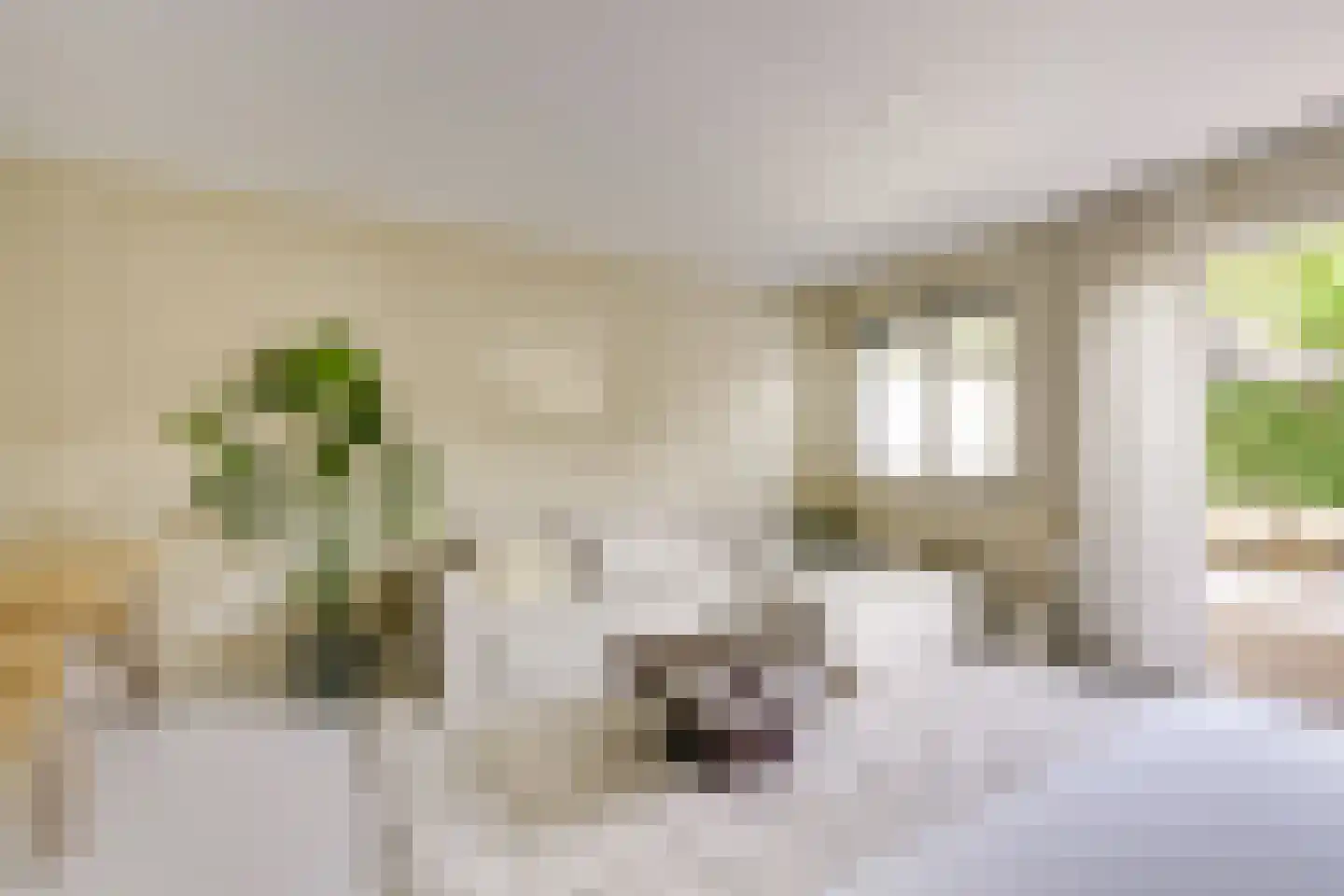 Koestraat 12 Vianen thumbnail 14