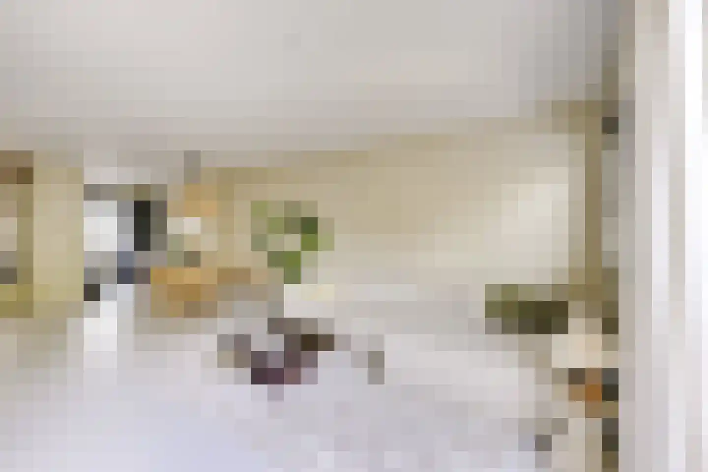 Koestraat 12 Vianen thumbnail 15