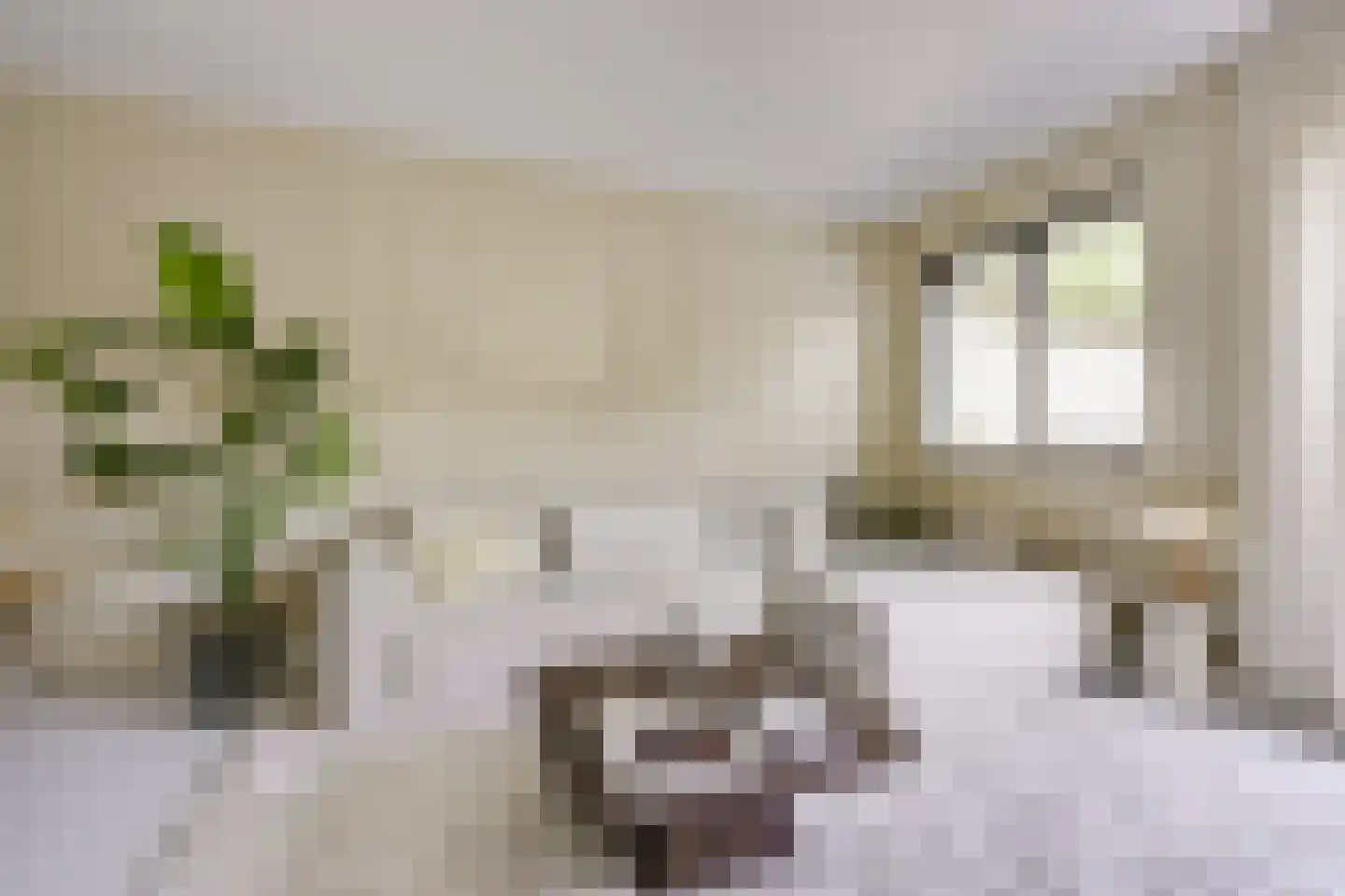 Koestraat 12 Vianen thumbnail 16