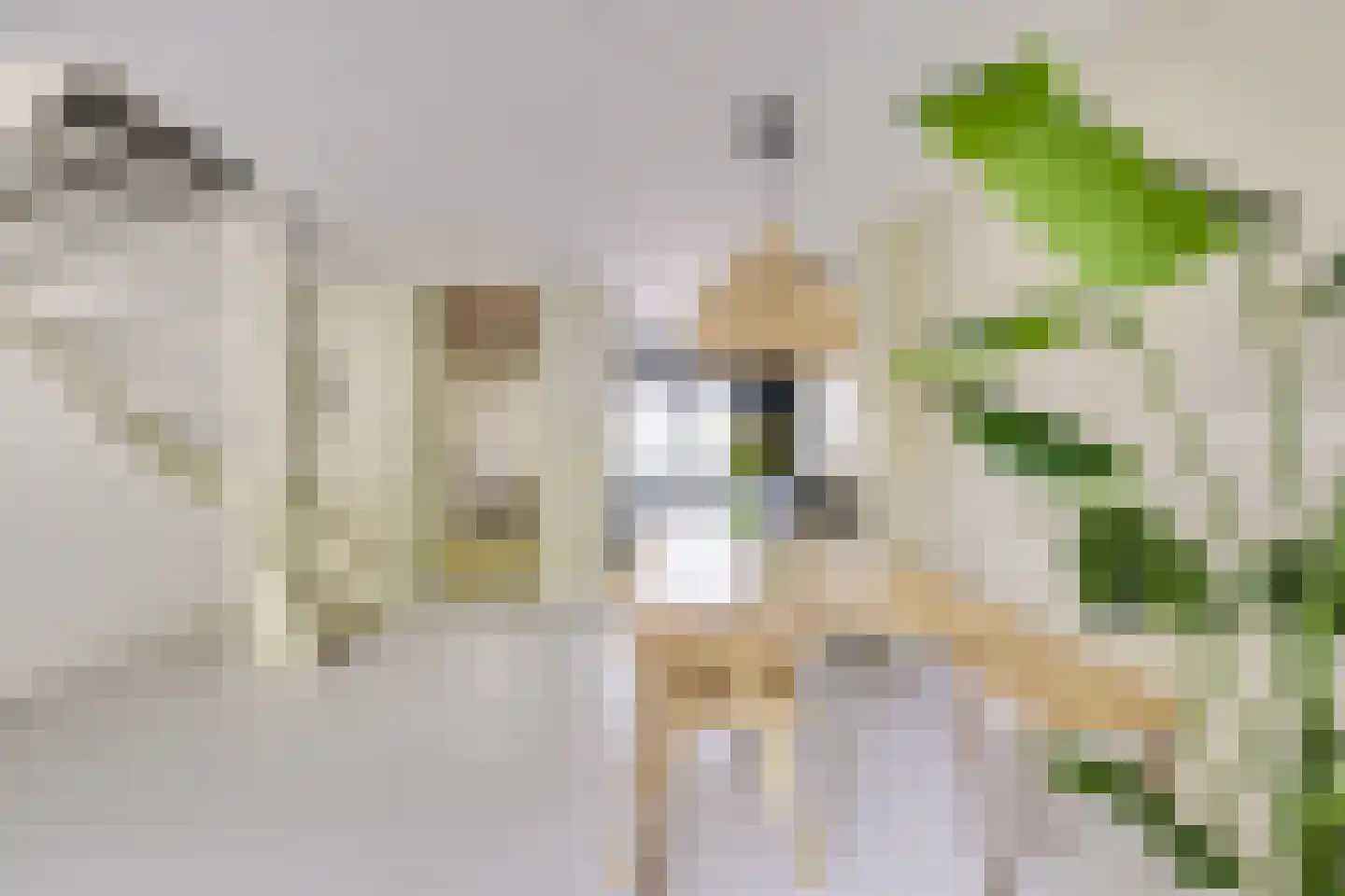 Koestraat 12 Vianen thumbnail 18