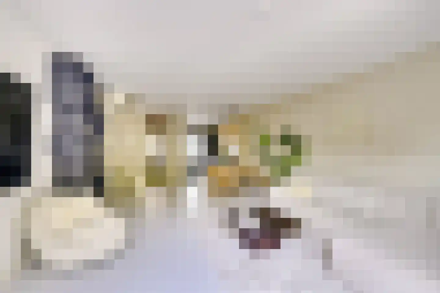 Koestraat 12 Vianen thumbnail 19