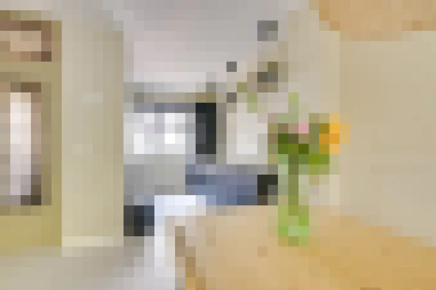 Koestraat 12 Vianen thumbnail 20