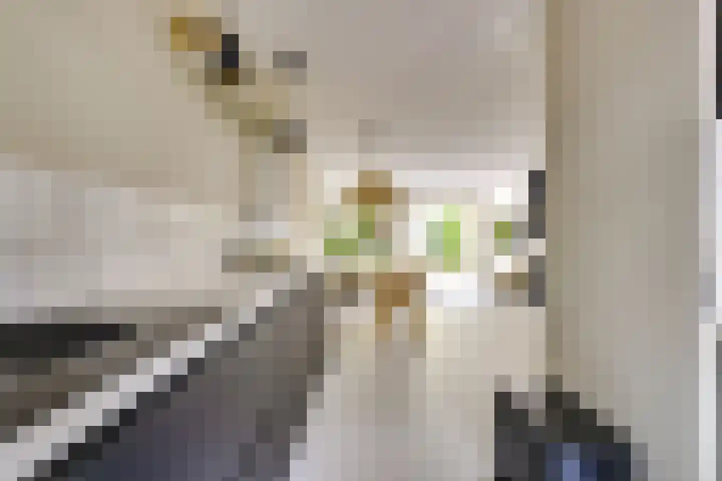 Koestraat 12 Vianen thumbnail 25