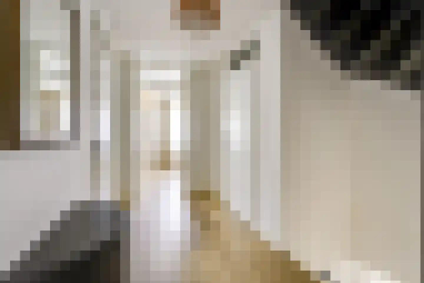 Koestraat 12 Vianen thumbnail 26