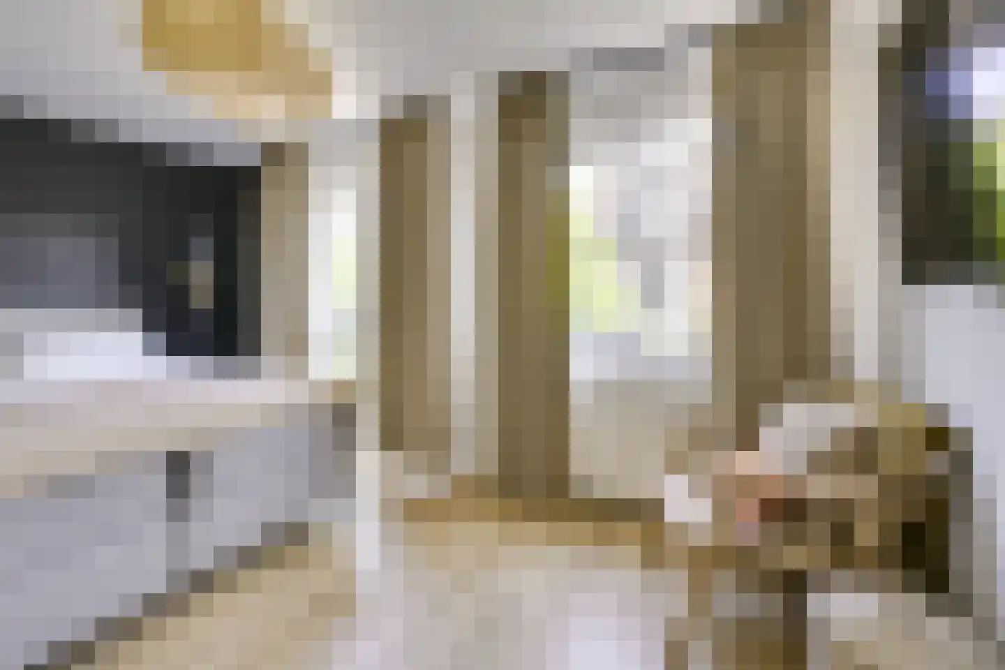 Koestraat 12 Vianen thumbnail 30