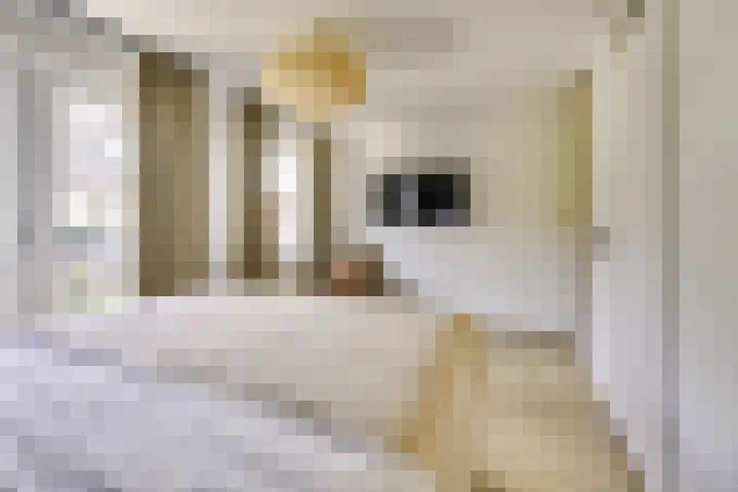 Koestraat 12 Vianen thumbnail 32