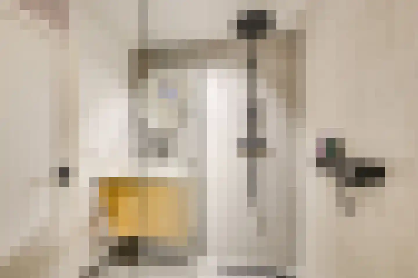 Koestraat 12 Vianen thumbnail 36