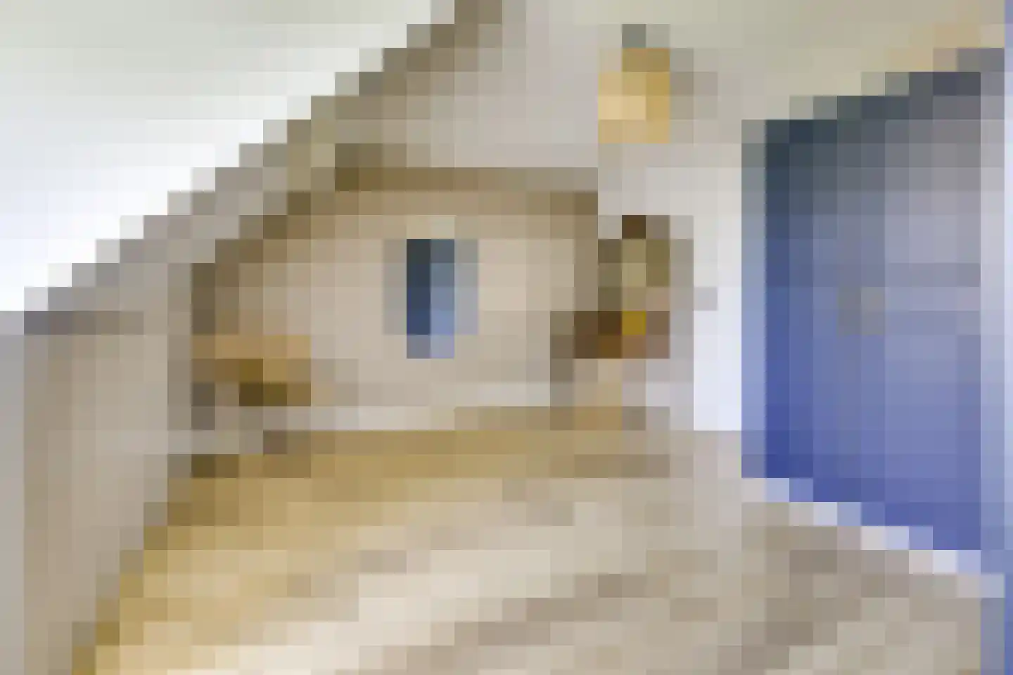 Koestraat 12 Vianen thumbnail 47